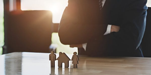 gente-juguete-mesa-casa_1048944-102478 Asesoramos y representamos en derecho de familia